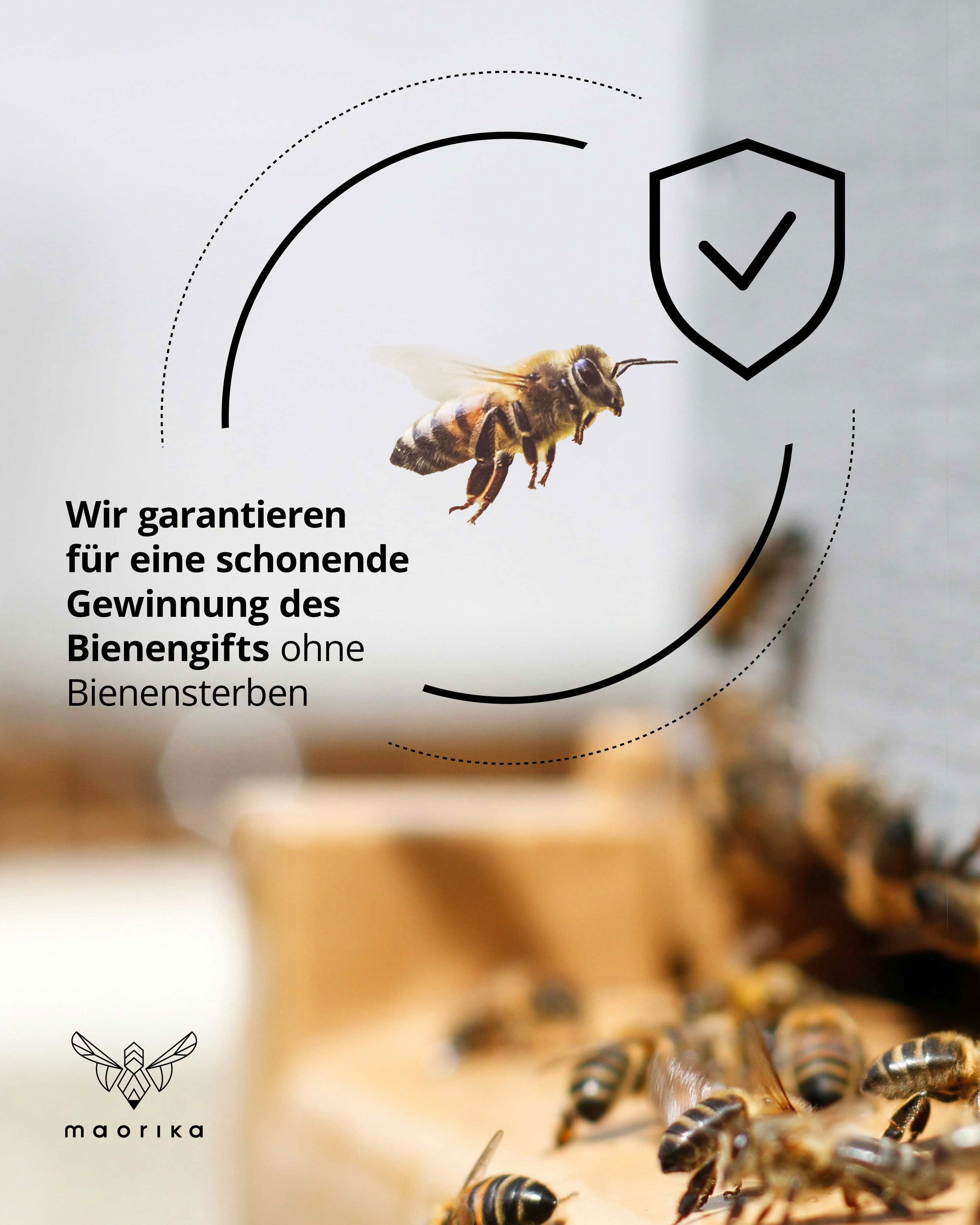 Bienengiftsalbe mit Manuka-Öl